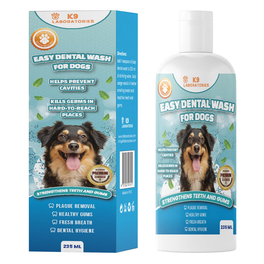 Easy Dental Wash