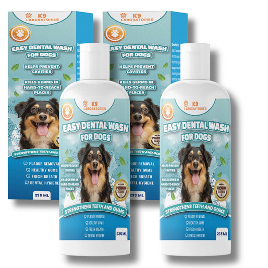 Easy Dental Wash 2-pack