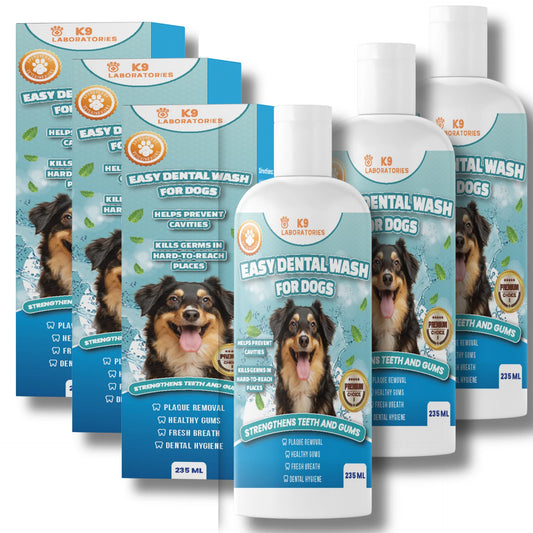Easy Dental Wash 3-pack