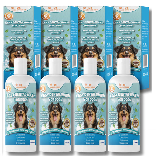 Easy Dental Wash 4-pack
