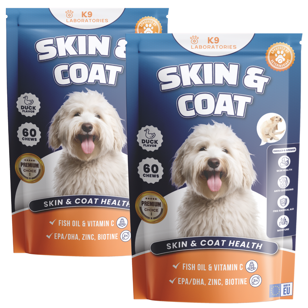 Skin & Coat Chews 2-Pack