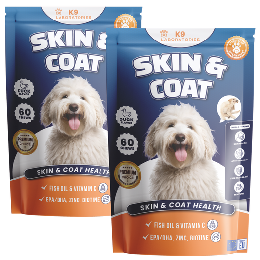 Skin & Coat Chews 2-Pack