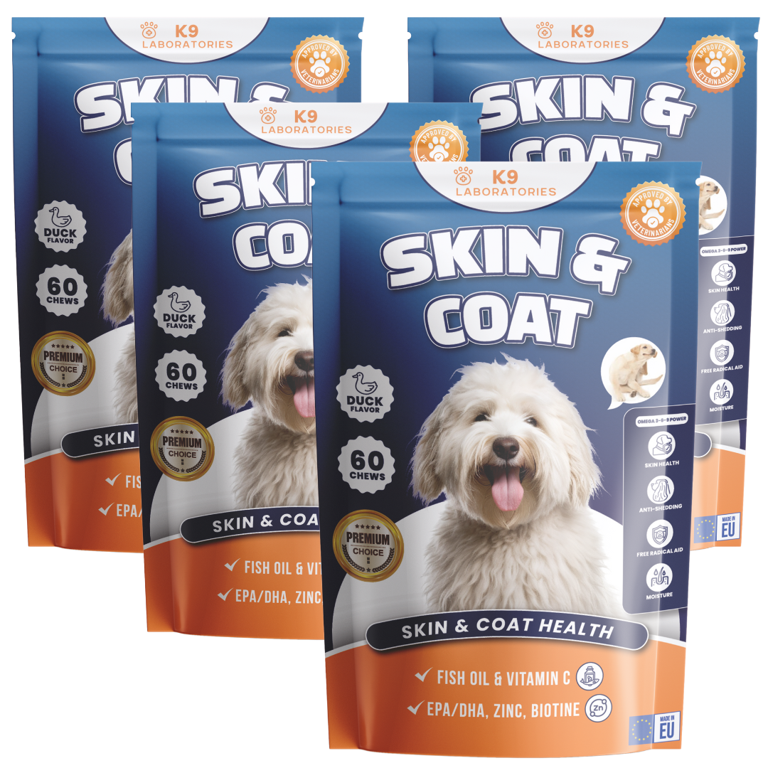 Skin & Coat Chews 4-Pack