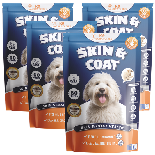 Skin & Coat Chews 4-Pack