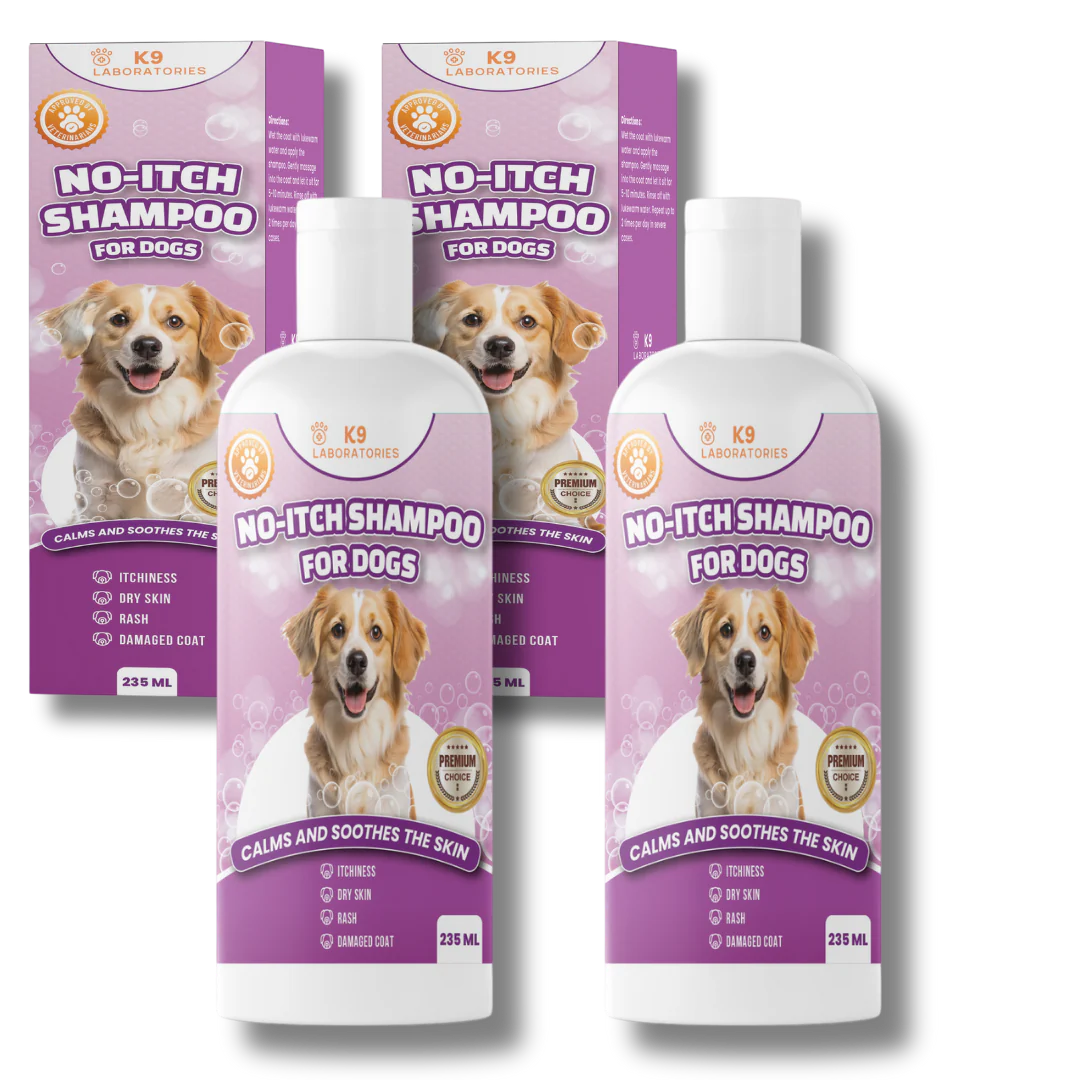 No-Itch Shampoo 2-pack