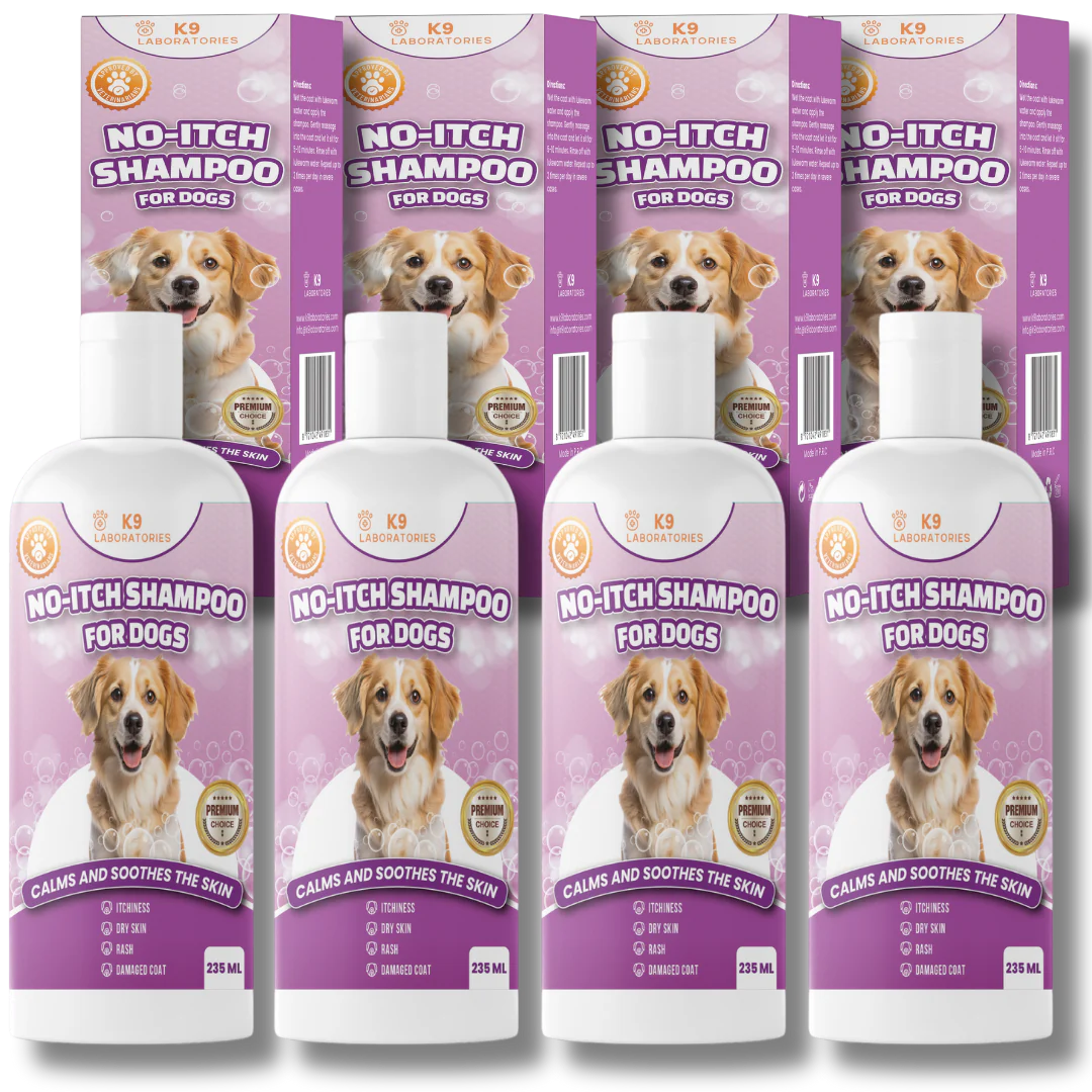 No-Itch Shampoo 4-pack
