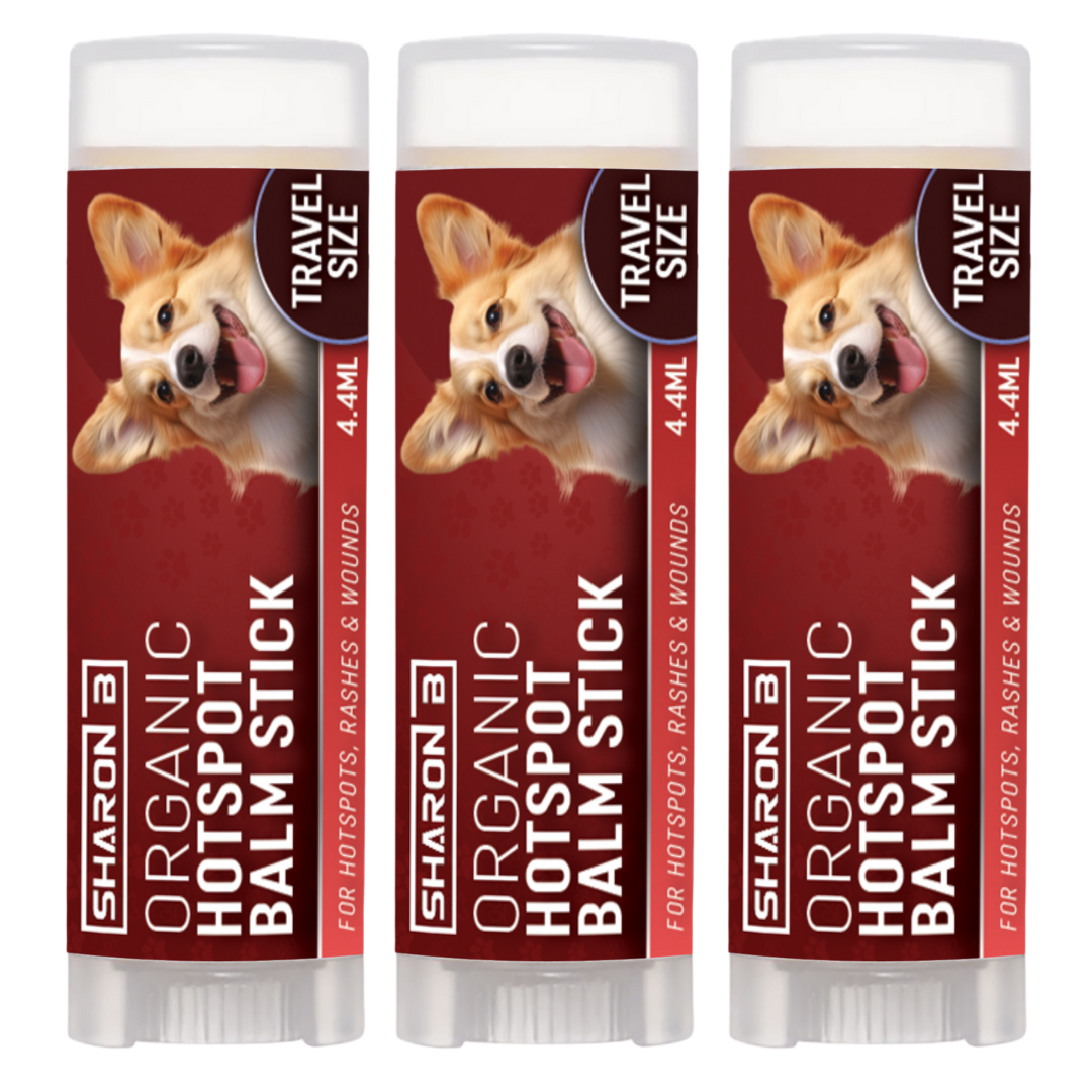 Hotspot Travel Stick 3-Pack