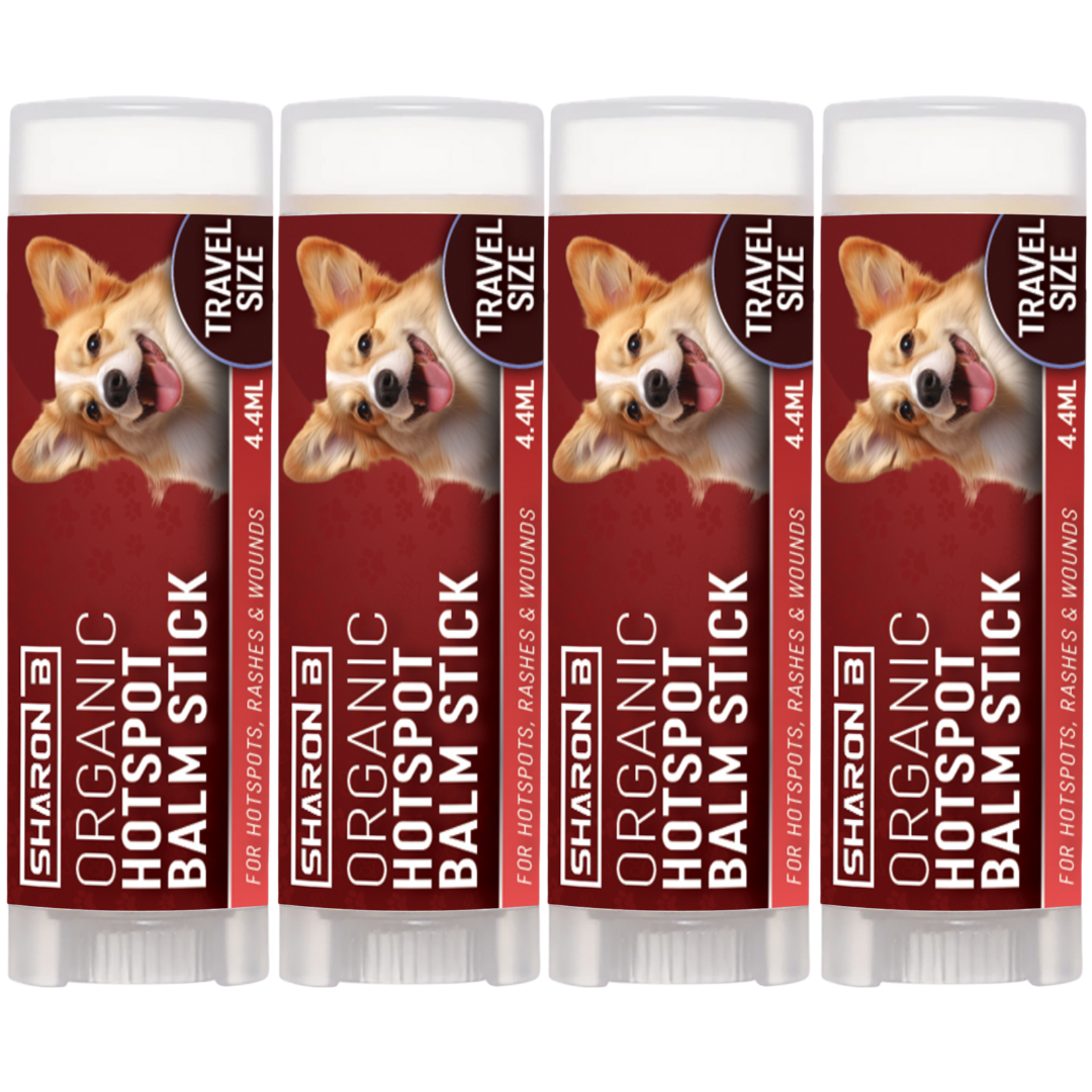 Hotspot Travel Stick 4