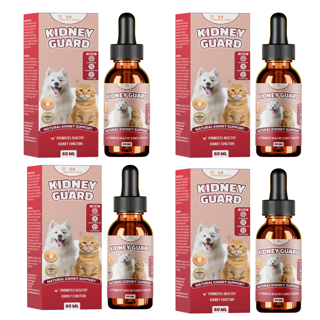 Kidney Guard 4-pack