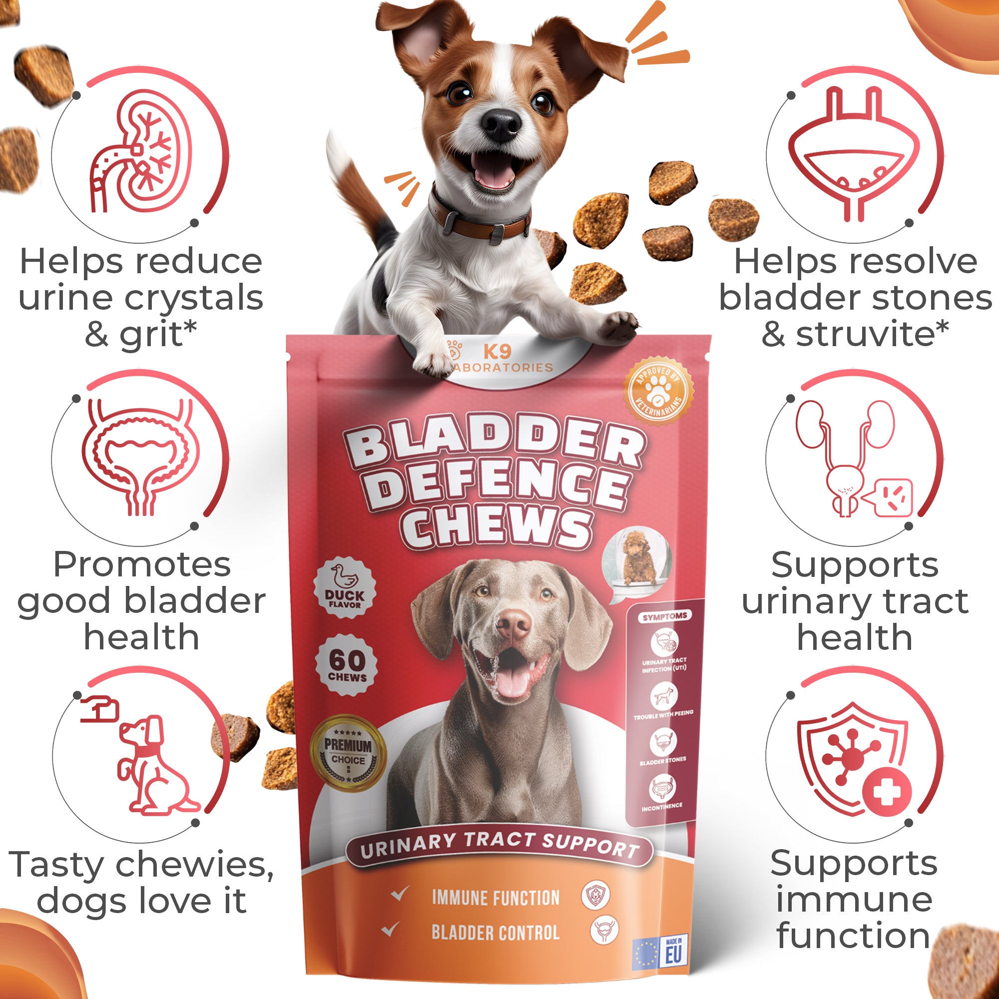 Bladder Defence Chews