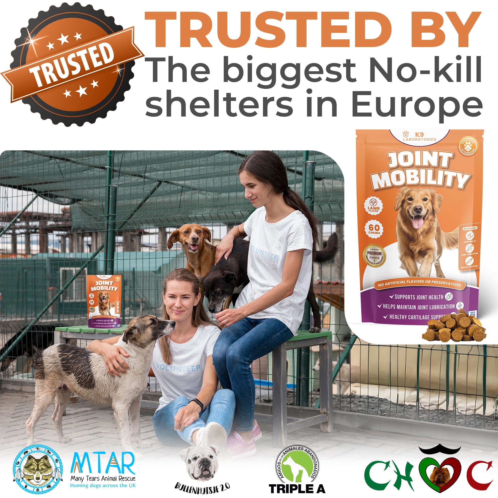 Joint Mobility Chews