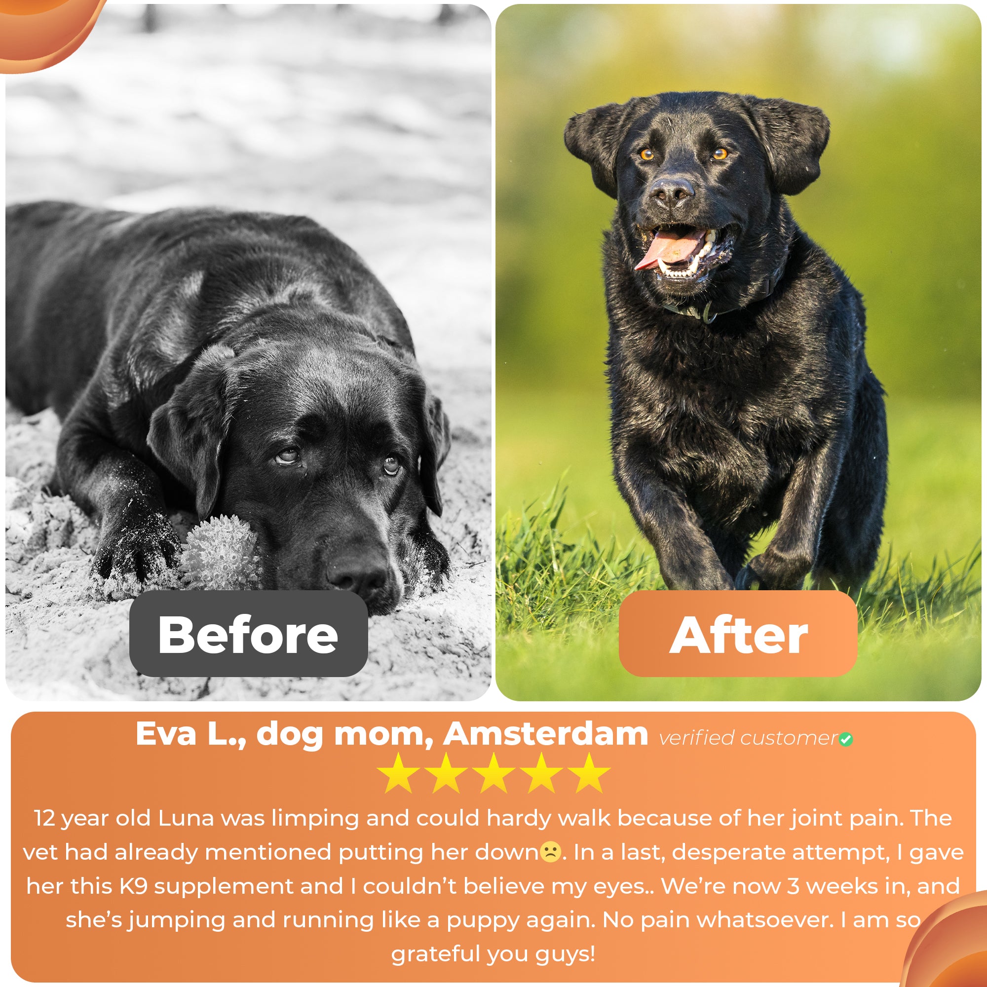 Joint Mobility Chews