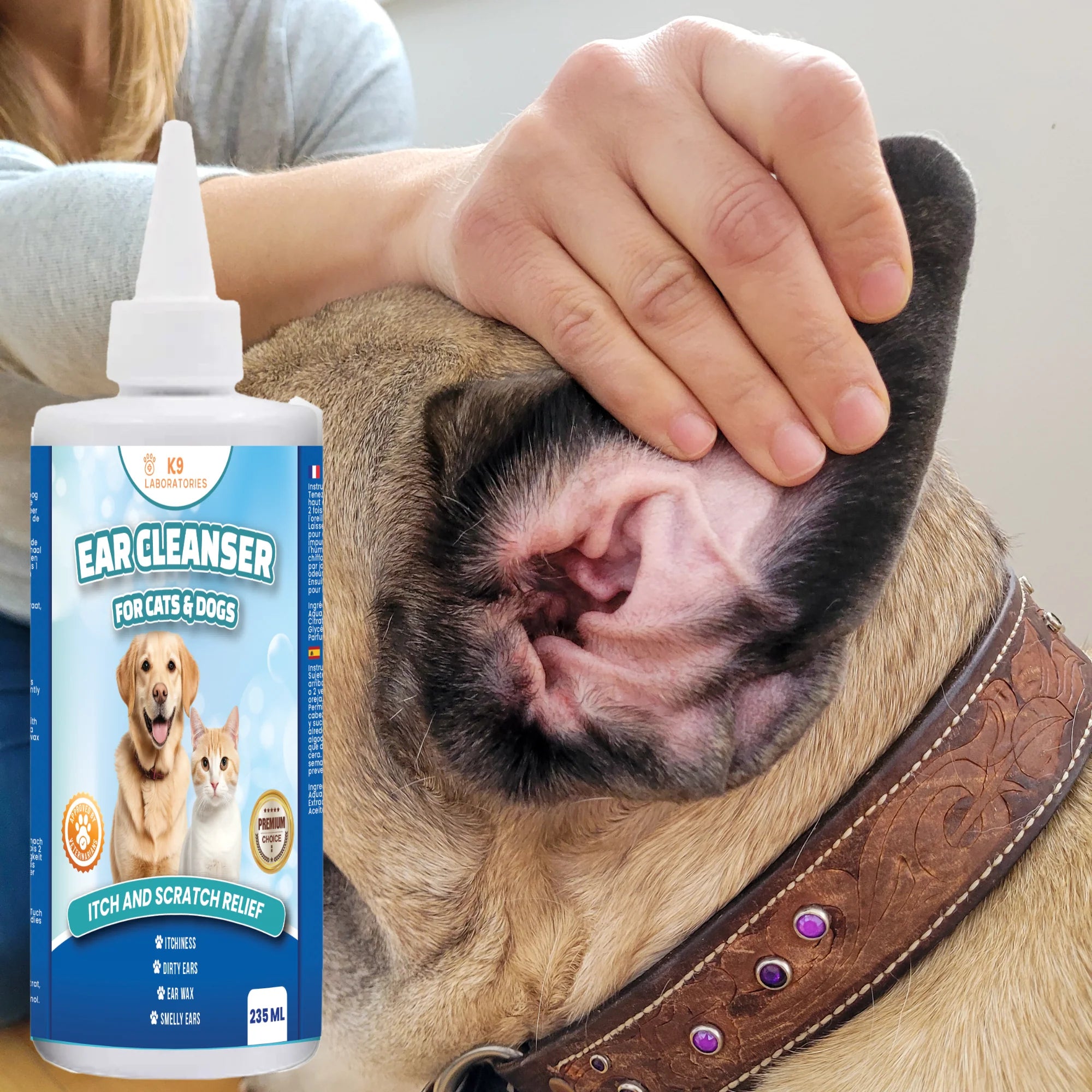 woman showing dogs ear that needs cleaning