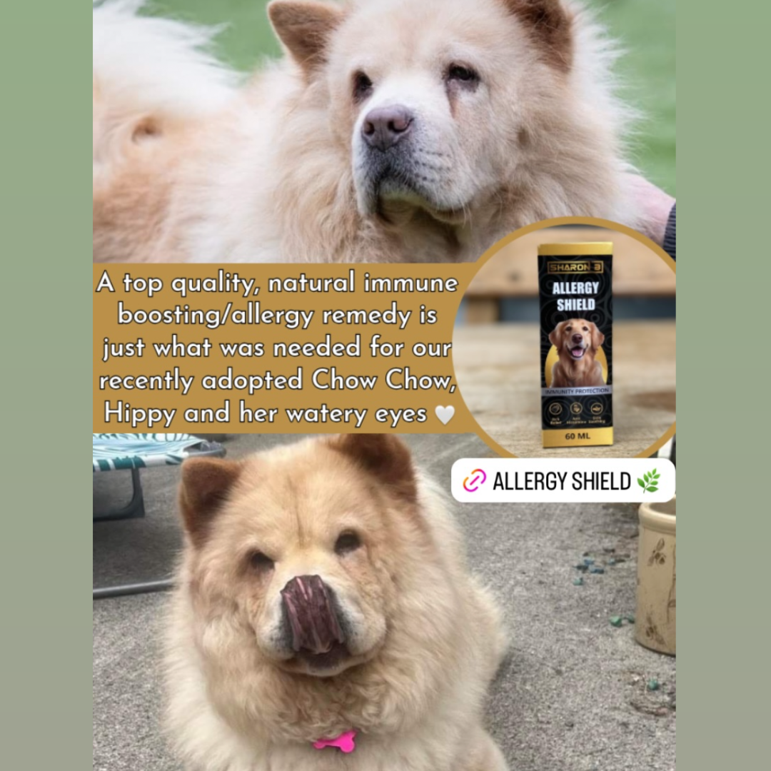 Allergy Shield 60ml – Natural Allergy Relief for Dogs – K9