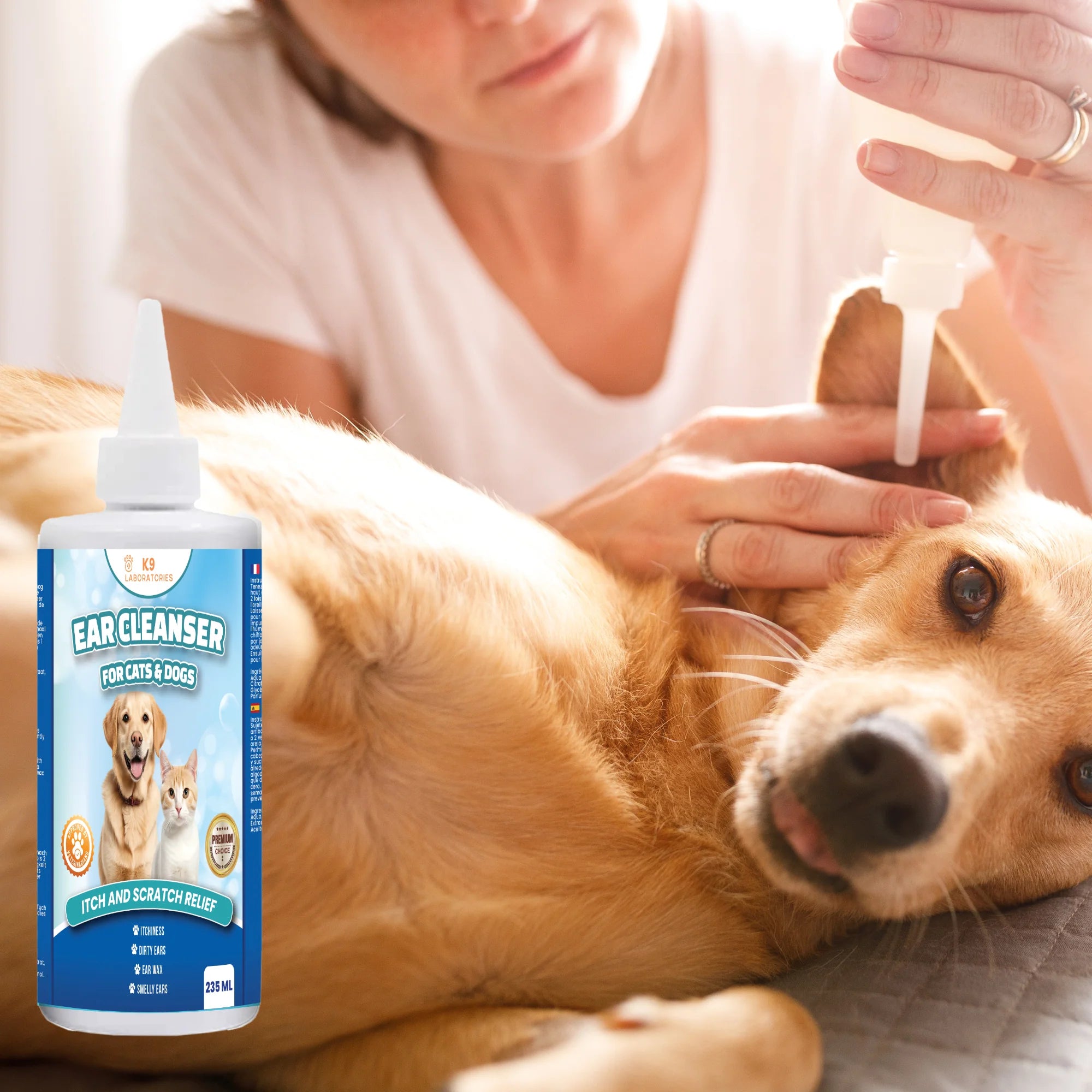 dog getting his ears cleaned