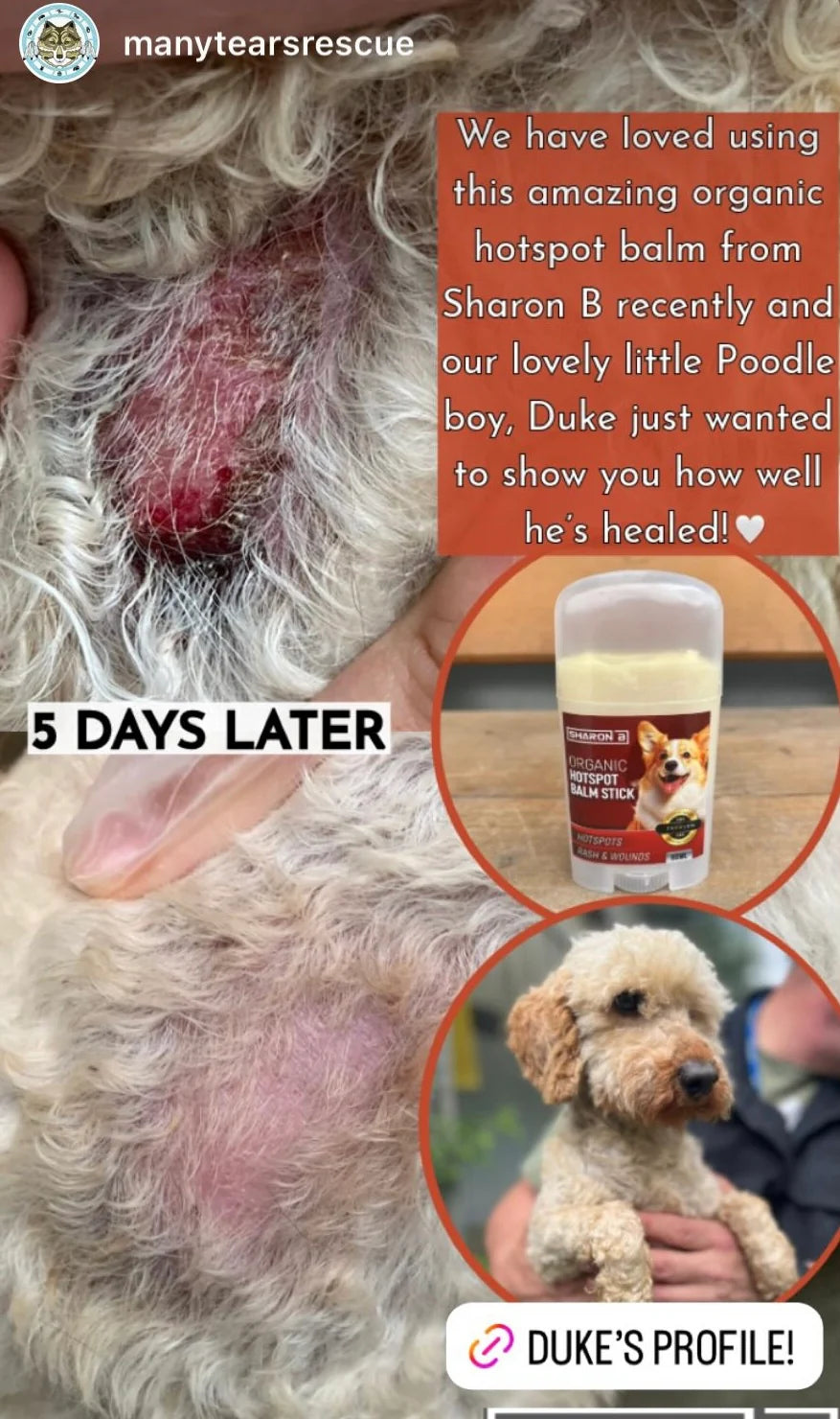 An instagram post from many tears animal rescue showing the results of the hotspot stick