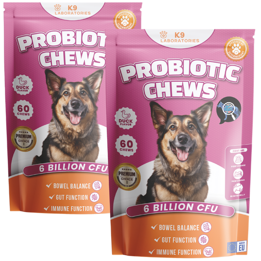 Probiotic Chews 2-Pack