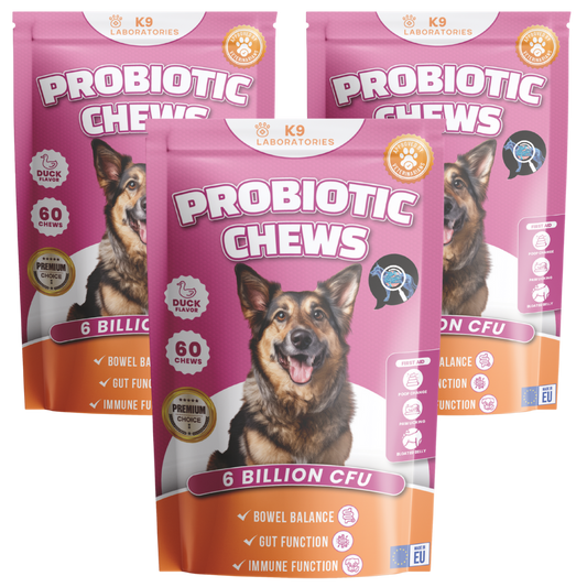 Probiotic Chews 3-Pack
