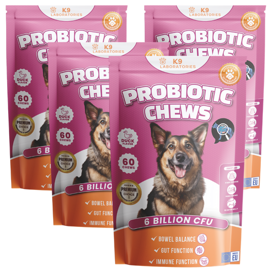Probiotic Chews 4-Pack